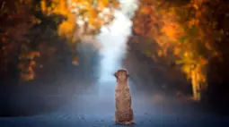 Wallpaper by creative2023