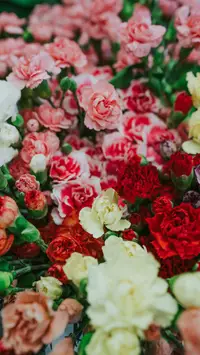 fresh flowers wallpaper